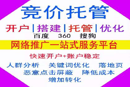探索SEM服务托管的未来趋势及发展案例